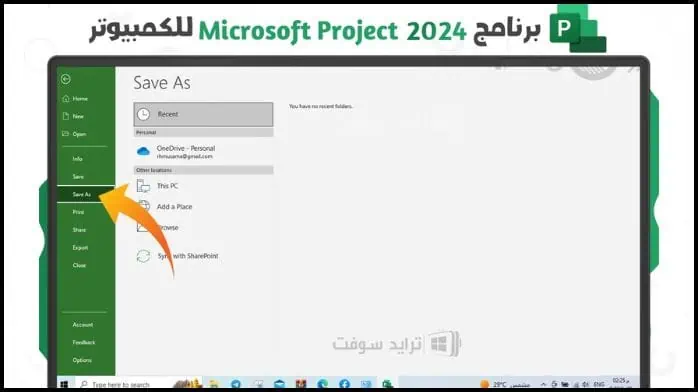 Microsoft Project 2024 21