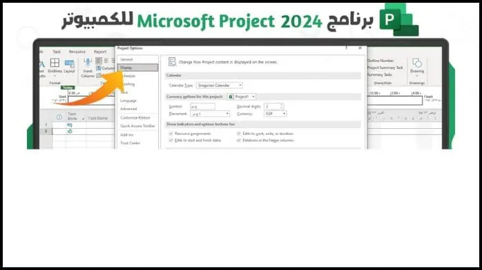 Microsoft Project 2024 24