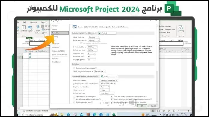 Microsoft Project 2024 25