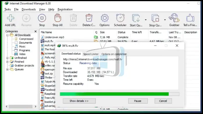 Internet Download Manager Download for PC
