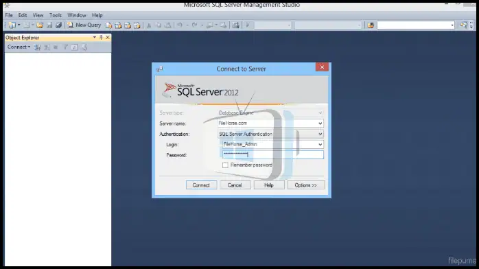 Microsoft SQL Server Download PC